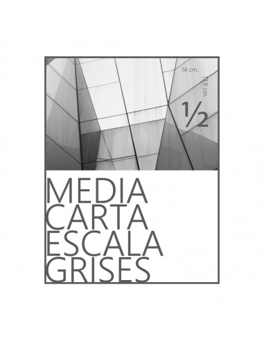 Mil Volantes Media de Carta 4x1:...